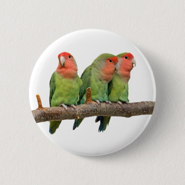 Tweet Trio Badge (Front)