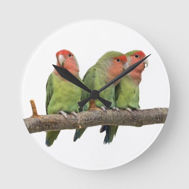 Tweet Trio Clock (Front)