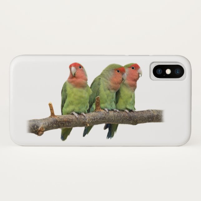 Tweet Trio iPhone X Case (Choose Your Colour) (Back (Horizontal))