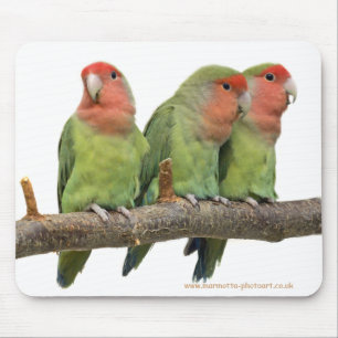Tweet Trio Mousemat