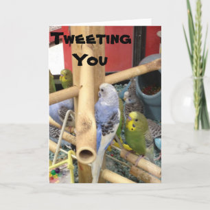 "TWEETING" TO SAY HAVE A HAPPY EASTER HOLIDAY CARD