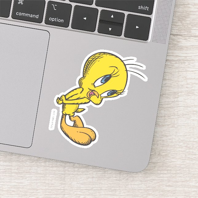TWEETY™ Bashful (Detail)