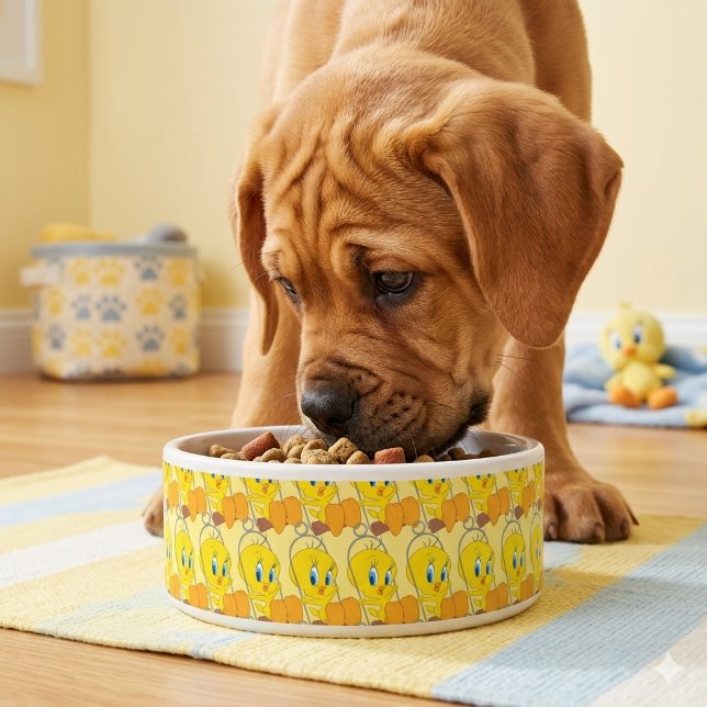 Tweety Bowl (Creator Uploaded)