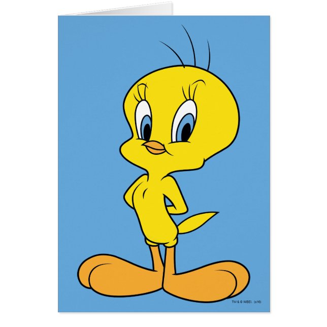 TWEETY™ | Clever Bird (Front)