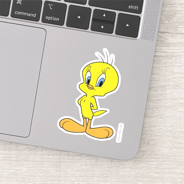 TWEETY™ | Clever Bird (Detail)