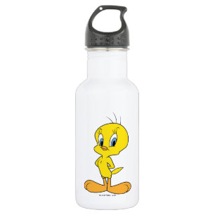 TWEETY™   Clever Bird 532 Ml Water Bottle