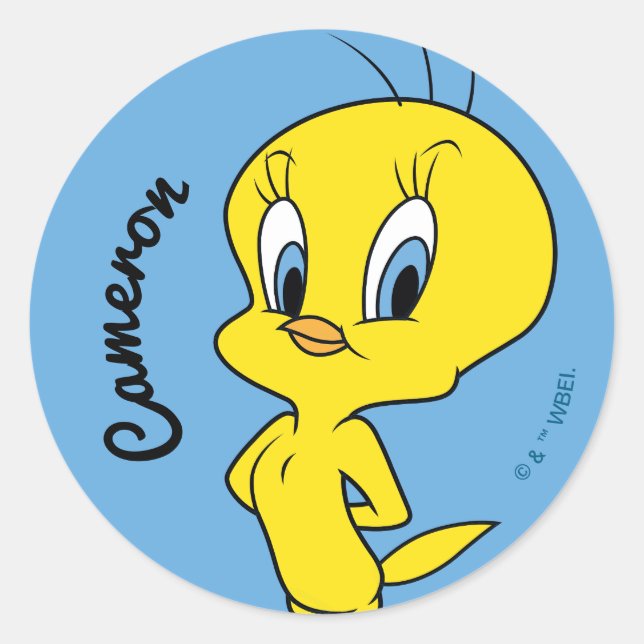 TWEETY™ | Clever Bird Classic Round Sticker (Front)