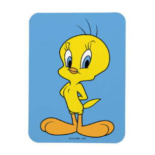 TWEETY™   Clever Bird Magnet