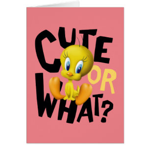 TWEETY™- Cute Or What?