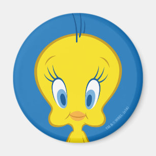 TWEETY™   Innocent Little Bird Magnet