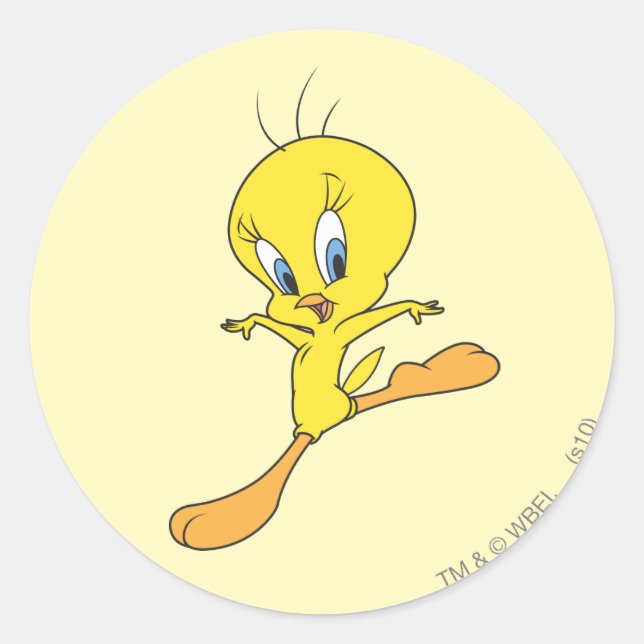 TWEETY™ Landing Classic Round Sticker (Front)