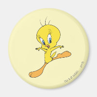TWEETY™ Landing
