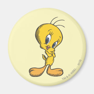 Tweety Shy Magnet
