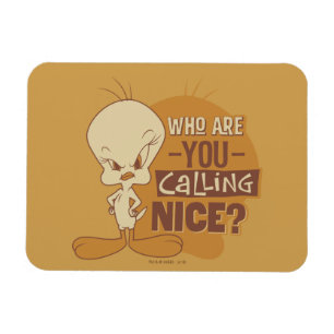TWEETY™- Who Are You Calling Nice? Magnet