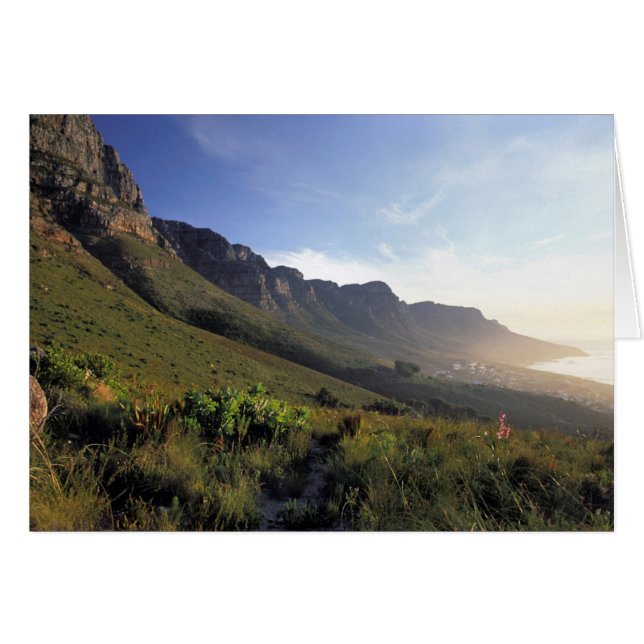 Twelve Apostles, Cape Town, Western Cape (Front Horizontal)