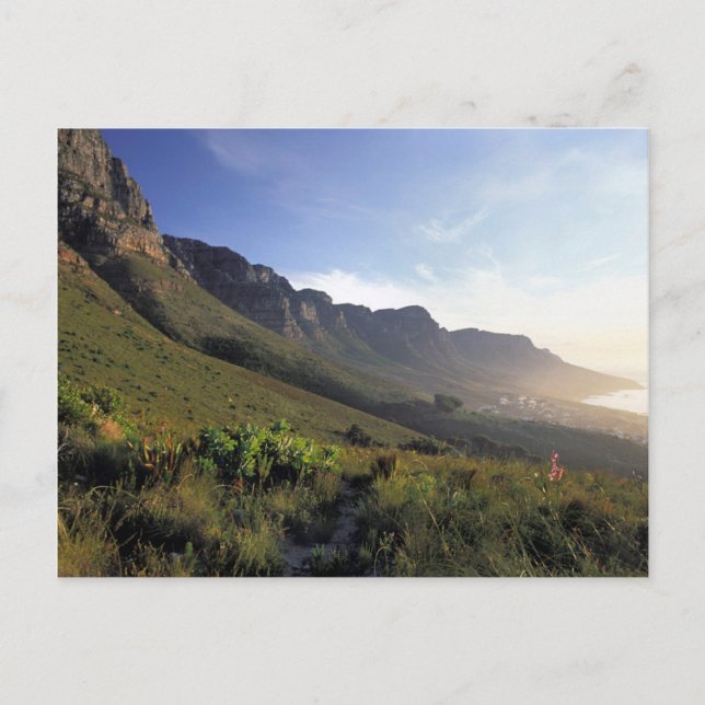 Twelve Apostles, Cape Town, Western Cape Postcard (Front)