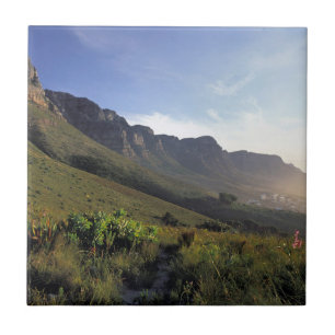 Twelve Apostles, Cape Town, Western Cape Tile