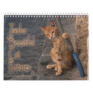 Twelve Beautiful Cats Pictures Calendar