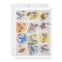 Twelve Birds Greeting Card