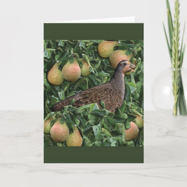 Twelve Days of Christmas -Partridge in a Pear Tree Holiday Card (Front)