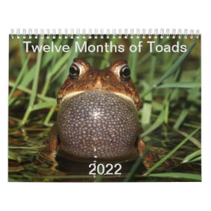 Twelve Months of Toads: 2022 Calendar
