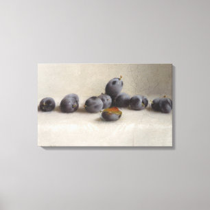 Twelve Plums Canvas Print