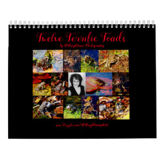 Twelve Terrific Toads Calendar