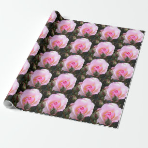 Twentieth Wedding Anniversary Perfect English Rose Wrapping Paper
