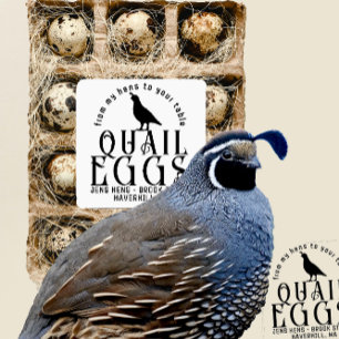 Twenty-five Transparent or White Quail Egg Carton