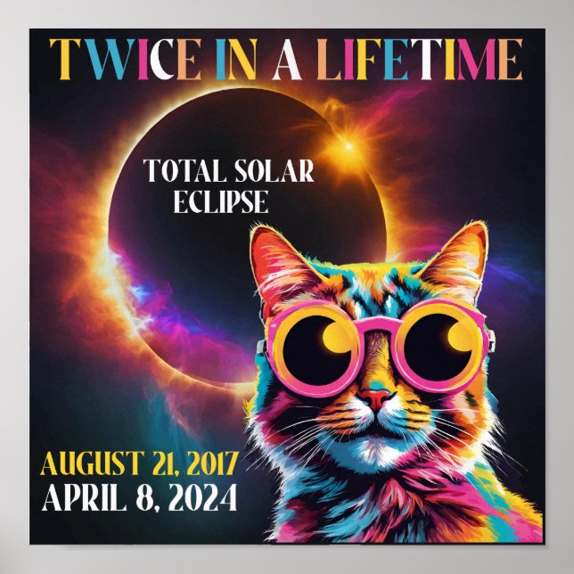 Twice In A Lifetime Total Solar Eclipse 2024 Funny Poster (Front)