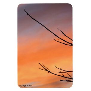 Twigs with Orange, Red, Purple Sunset Magnet