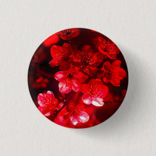 Twilight Cherry Blossom Glow 3 Cm Round Badge