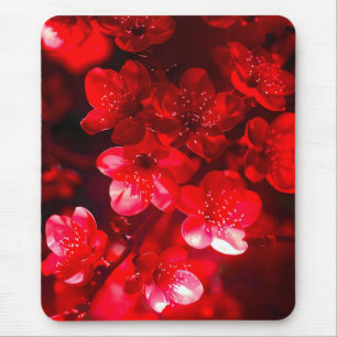 Twilight Cherry Blossom Glow Mouse Mat