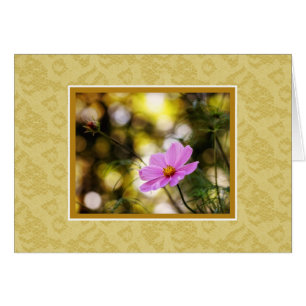 Twilight Cosmos Wildflower