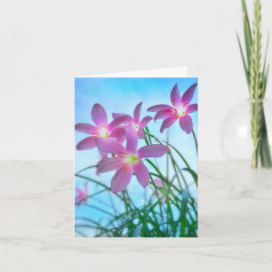 Twilight Fairy Lilies Note Card