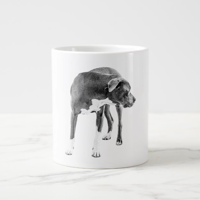 Twilight Field Watcher Large Coffee Mug (Front)