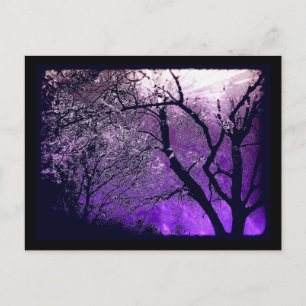 Twilight haze Postcard