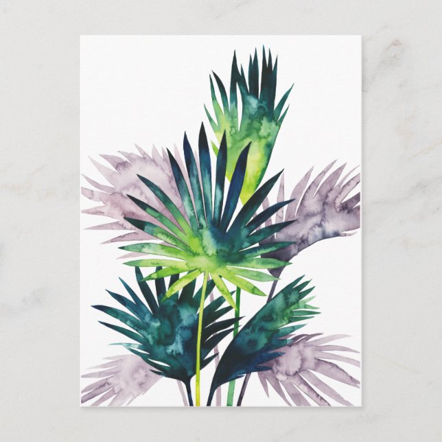 Twilight Palms- Palm Fronds Postcard (Front)