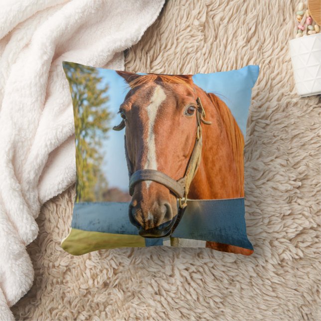 Twilight Rose | Thoroughbred Race Horse Cushion (Blanket)