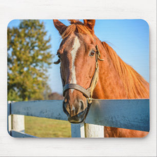 Twilight Rose   Thoroughbred Race Horse Mouse Mat
