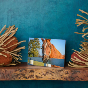 Twilight Rose   Thoroughbred Race Horse Plaque