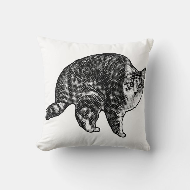 Twilight Tabby Watch Cushion (Front)