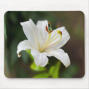 Twilight white lily mouse mat
