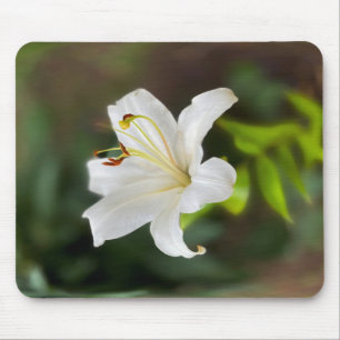 Twilight white lily mouse mat