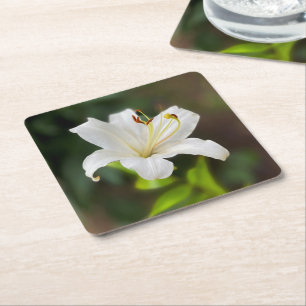 Twilight white lily square paper coaster