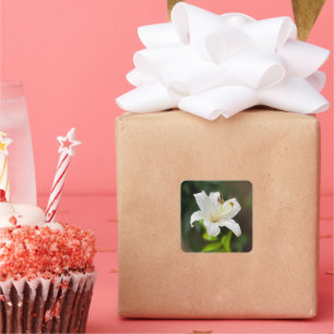 Twilight white lily square sticker