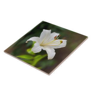 Twilight white lily tile