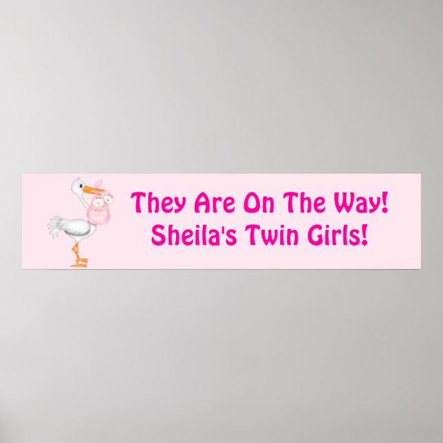 Twin Baby Girl Shower Party Banner Poster (Front)
