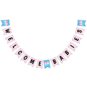 Twin Baby Girls Shower Bunting