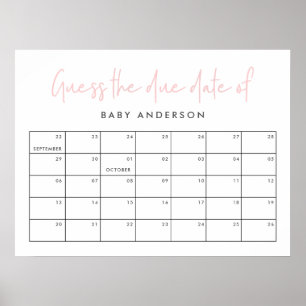 Twin baby shower pink girly modern typography poster